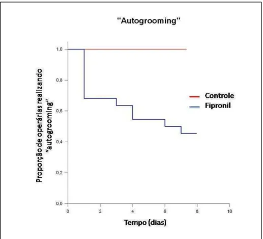 Figura  8:  Proporção  de  operárias  de  Acromyrmex  subterraneus  subterraneus  realizando  “autogrooming” em colônias tratadas e colônias não tratadas com iscas  com fipronil