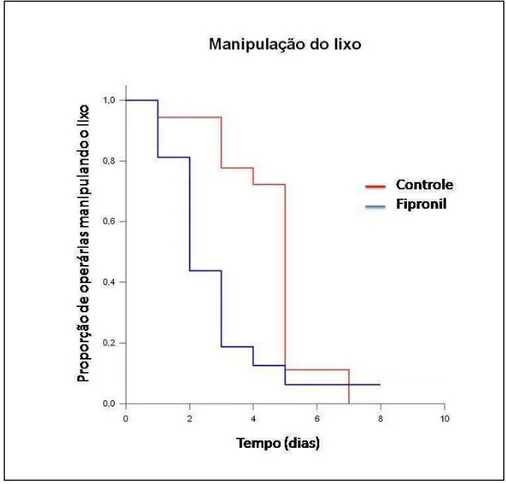 Figura  10:  Proporção  de  operárias  de  Acromyrmex  subterraneus  subterraneus  manipulando  o  lixo  em  colônias  tratadas  e  colônias  não  tratadas  com  iscas  com  fipronil