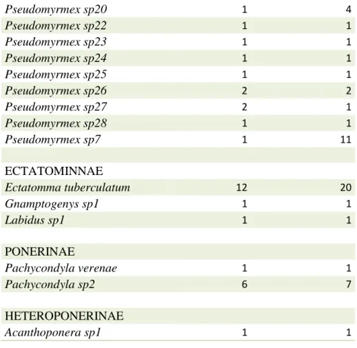Tabela  3-  Abundância  e  riqueza  de  insetos  herbívoros,  separados  de  acordo  com  suas Ordens