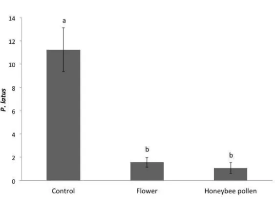 Figure  4:  Average  number  of  P.  latus  (adults,  larvae,  pupae  and  eggs)  (±SEM)  on  plants with the different food sources