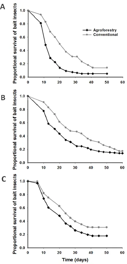 Figure 1. Differential survival of Tenebrio molitor bait insect larvae in soils from  Agroforestry  vs