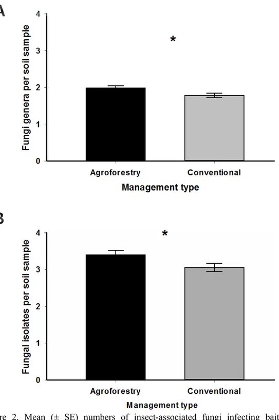 Figure 2. Mean (± SE) numbers of insect-associated fungi infecting bait insects  (Tenebrio molitor) per sample of soil from two coffee management systems:  Agroforestry and Conventional