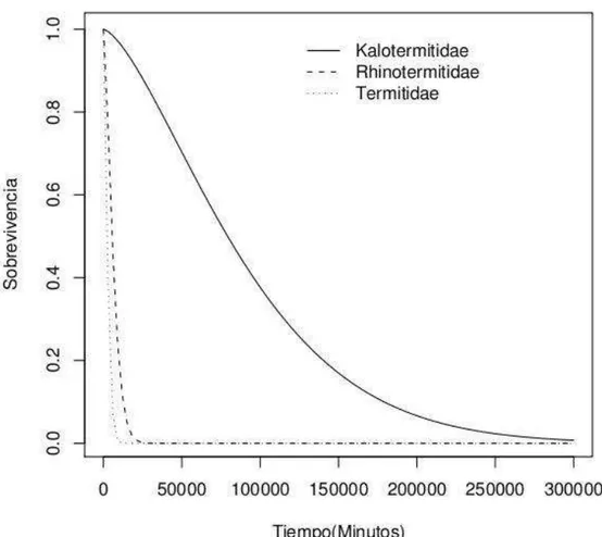 Figura  7.    Proporción  de  obreros  vivos  de  Kalotermitidae,  Rhinotermitidae  y  Termitidae,  en  función  del  tiempo  después  de  ser  sometidos  al  experimento  de  interacciones presentado en la Figura 1,  ( p &lt; 0.0001)