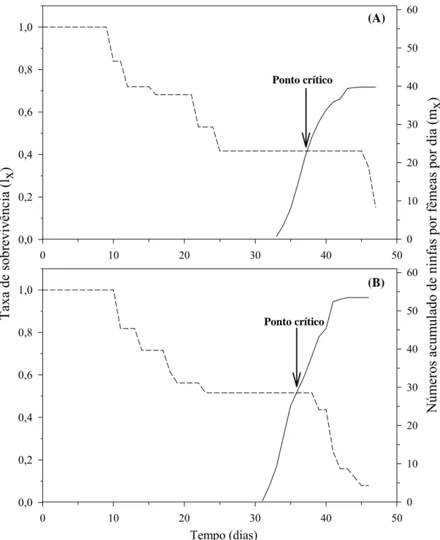 Figura 2. Taxa de sobrevivência e número acumulado de ninfa/fêmea/dia de  Diclidophlebia  smithi (Hemiptera: Psyllidae) durante a primavera de 2005 (A)  (20,4 ± 0,3 ºC, umidade relativa do ar 77,3 ± 1,2 % e fotoperíodo 12,1 ± 0,04  horas luz) e o inverno d