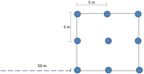 Figura 1: Desenho experimental mostrando uma parcela, com a disposição dos pontos amostrais e  experimentais, bem como as distâncias entre estes e entre as parcelas