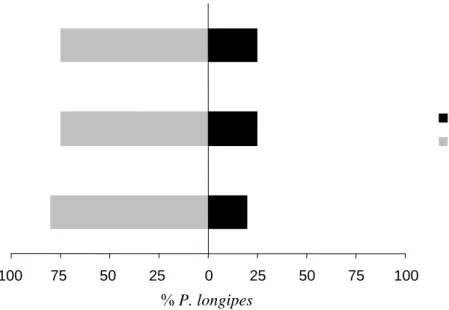 Figura 2: Resposta de fêmeas adultas de P. longipes a voláteis de plantas limpas  (barras pretas) x plantas infestadas com T