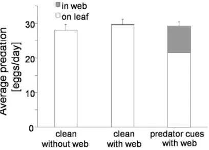 Figure 3. Mean predation rate by P. longipes  on eggs of the spider mite T. evansi  in the  presence of predator cues and web produced by the spider mite or in the absence of predator  cues (clean) with or without web
