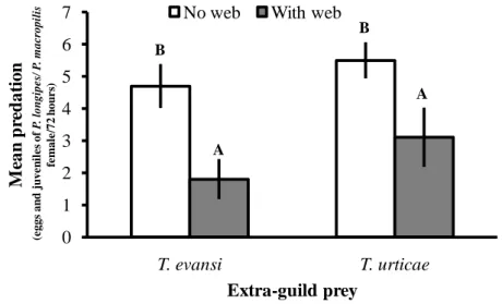 Figure 3. Intraguild predation rate of P. macropilis on P. longipes on discs without web and  with  web  produced by two different spider mite  species  (shared  prey)