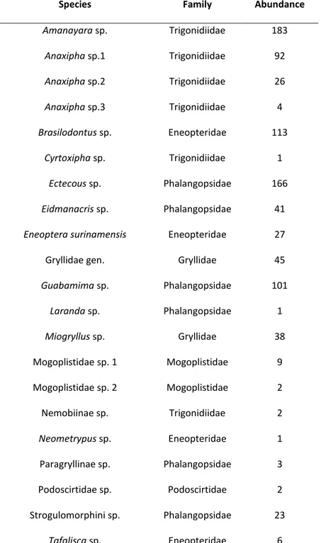 Table 2. Cricket species, their families and abundance by species 