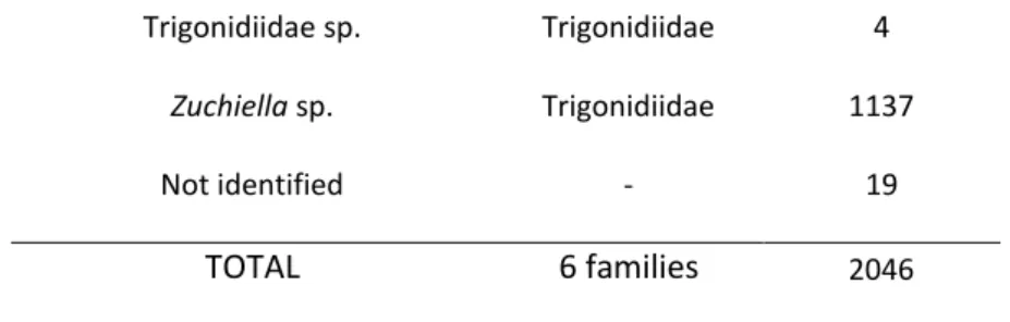 Table 3. Cricket species and their distributions on each geomorphological feature. 