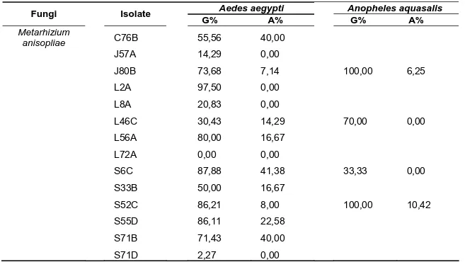 Table 3. Percentage of the isolates of entomopathogenic fungi  Beauveria bassiana  and  Metarhizium anisopliae  that germinate (G%) and formed appressorium (A%) on wing cuticles of  Aedes aegypti  and  Anopheles aquasalis  (G% is the percentage of number o