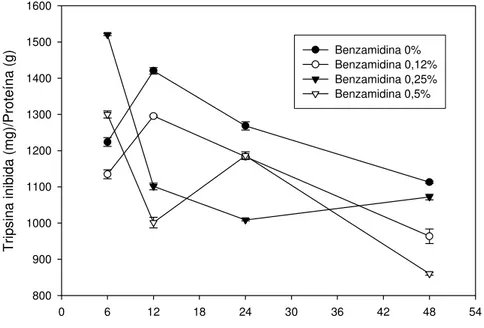 Figura 2  –  Inibição de serino-proteases presentes no extrato foliar de plantas de  eucalipto  (A)  e plantas de goiaba (B), quando atacadas por Thyrinteina leucoceraea e  submetidas à aplicação de benzamidina nas concentrações de 0,0, 0,12, 0,25 e 0,5%