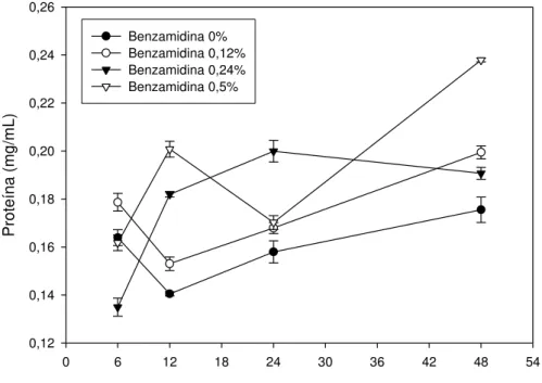 Figura 3 – Concentração de proteína em folhas de plantas de eucalipto (A) e plantas de  goiaba (B), quando atacadas por Thyrinteina leucoceraea e submetidas à aplicação de  benzamidina nas concentrações de 0,0, 0,12, 0,25 e 0,5%