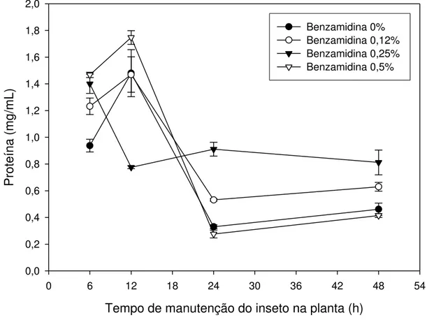 Figura 4  –  Concentração de proteína do intestino médio de lagartas de  Thyrinteina 