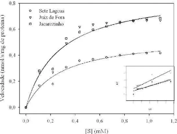 Figura 2: Gráfico de Michaelis-Menten da atividade de serino-protease (amidásica) de  S