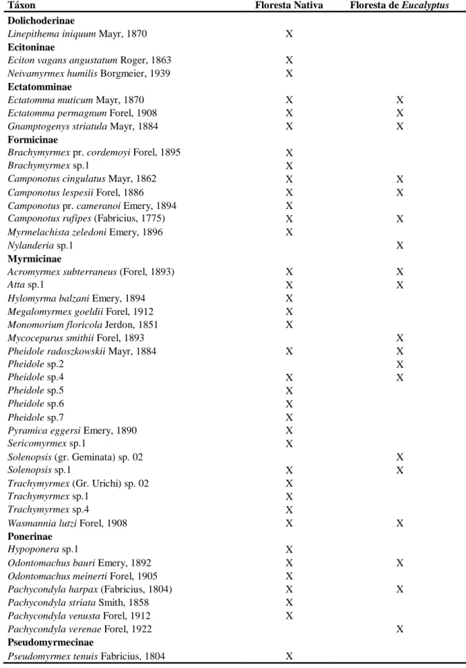 Tabela  2.  Lista  das  espécies  de  formigas  coletadas  nos  dois  ambientes  em  Viçosa, 