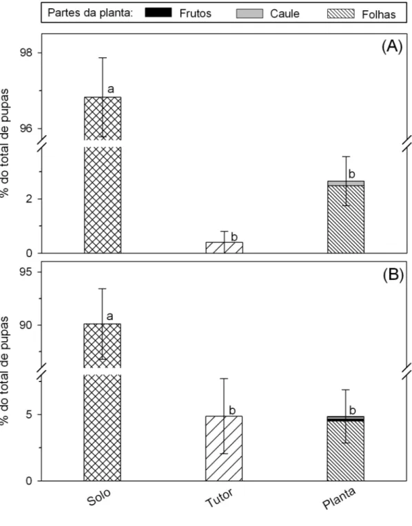 Figura 4. Local de pupação de Tuta absoluta (média ± erro padrão) em plantas  nos  estádios  (A)  vegetativo  e  (B)  reprodutivo