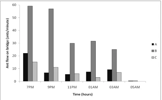 Figure  S1:  Nighttime  foraging  activity  of  Camponotus  rufipes  from  three  distinct  colonies  (A,B and C), in  a recovered fragment of Atlantic rainforest,  Viçosa, Minas  Gerais, Southeast Brazil