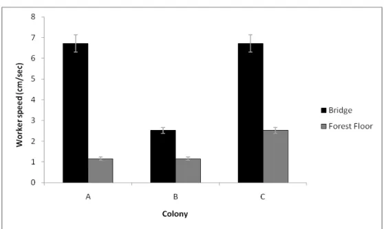 Figure  S2:  Mean  (±SE)  speeds  of  workers  of  the  carpenter  ant  Camponotus  rufipes  from  three  colonies  (A,  B  and  C)  in  two  diferents  parts  of  foraging  trail:  Bridges  (fallen branches, twigs and lianas) and Forest floor (litter), in