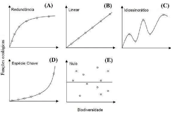 Figura 1: Representações gráficas das hipóteses que descrevem a relação entre 