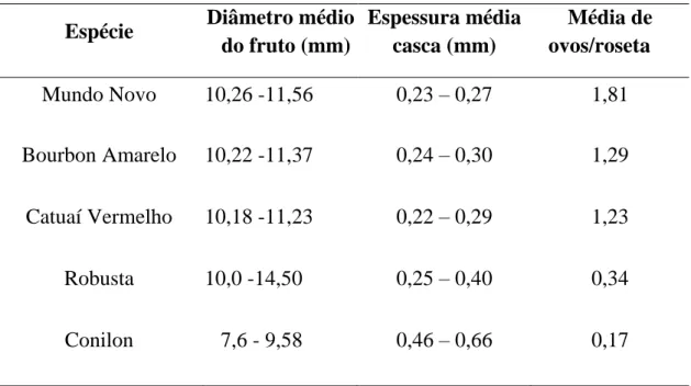 Tabela  3:  Parâmetros  avaliados  das  variedades  de  Coffea  arabica,  Mundo  Novo,  Bourbon  Amarelo,  Catuaí  Vermelho  e  variedades  de  Coffea  canephora,  Conilon  e  Robusta 