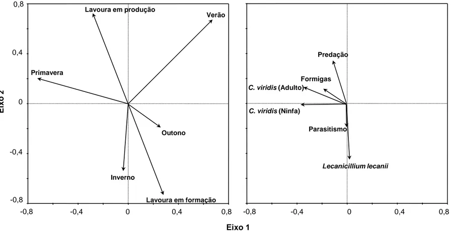 Figura 4. Diagrama da análise de redundância (RDA) da influência das estações do ano e da fase de desenvolvimento do cafeeiro  (formação ou produção) nas densidades de formigas, ninfas e adultos de Coccus viridis; e taxas de controle das cochonilhas por  p