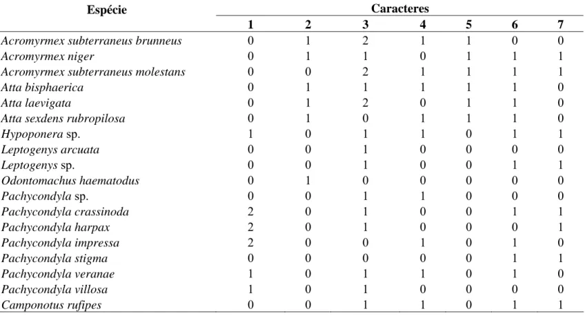 Tabela 3. Matriz de caracteres e estados de caracteres quanto às características morfológicas intramandibulares das espécies de Attini e Ponerini  estudadas 