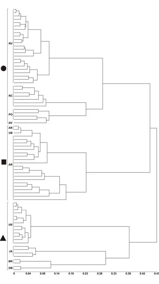 Figura 4. Dendrograma de dissimilaridade genética entre as localidades de coleta,  evidenciando a estruturação genética entre  M