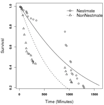 Figura 2: Proportion of termite individuals still alive as a function of time spent after submitted to the agonistic assays presented in Fig.1 (p &lt; 0.001).