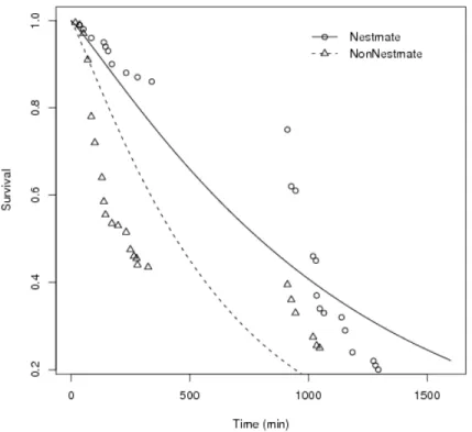 Figura 8: Proportion of termites individuals still alive as a function of time spent in Petri dish after submited to agonistic assays, in low stress p &lt; 0.001.