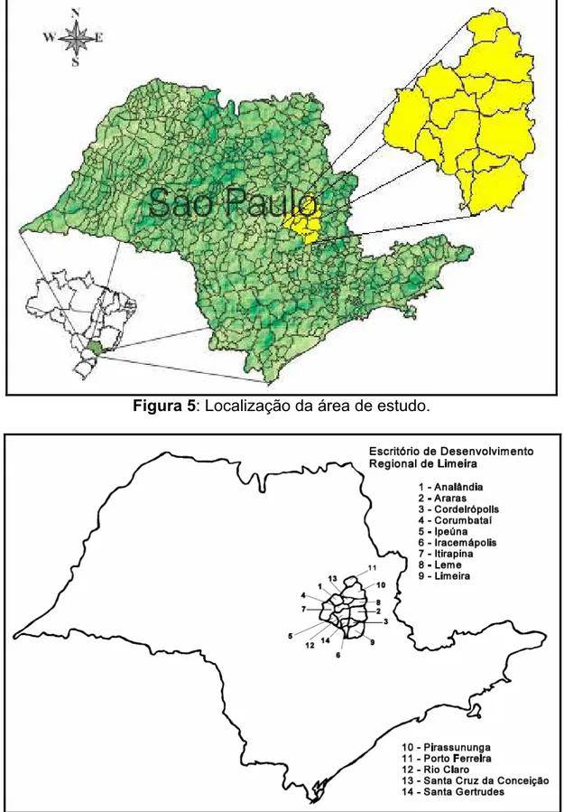 Figura 6: Localização dos municípios que compõe a EDR de Limeira. 