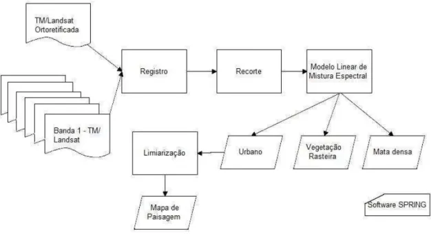 Figura 6  – Fluxograma esquemático do processo de geração de mapas de paisagem  