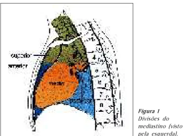 Figura 1 Divisões do mediastino (visto pela esquerda).
