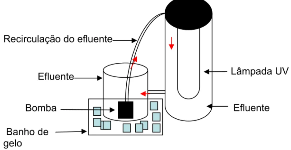 Figura 3 - Esquema do reator de bancada utilizado para realizar os tratamentos  pelos processos TiO 2 /UV, H 2 O 2 /UV e H 2 O 2 /TiO 2 /UV