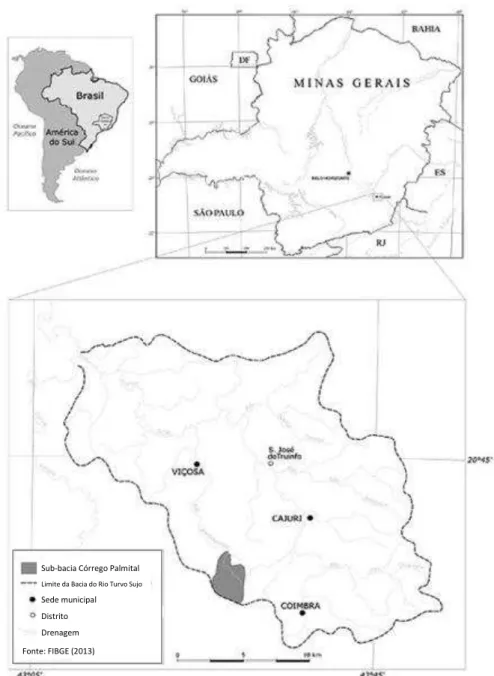 Figura 26: Localização da sub-bacia do Córrego Palmital dentro do contexto regional.  Fonte: Fernandes et al