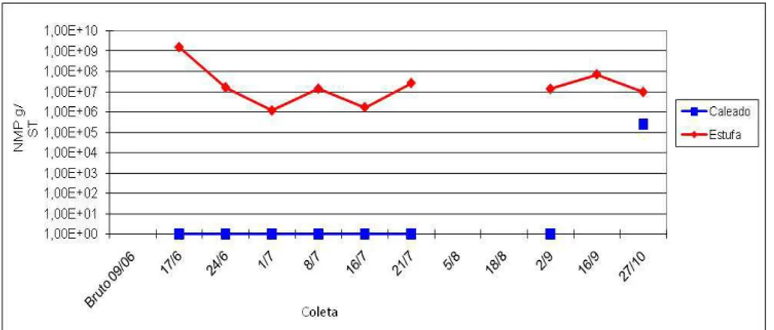 Figura 2.21 – Concentrações de coliformes totais no lodo ao longo dos  processos de caleação e secagem em estufa, Lote 1