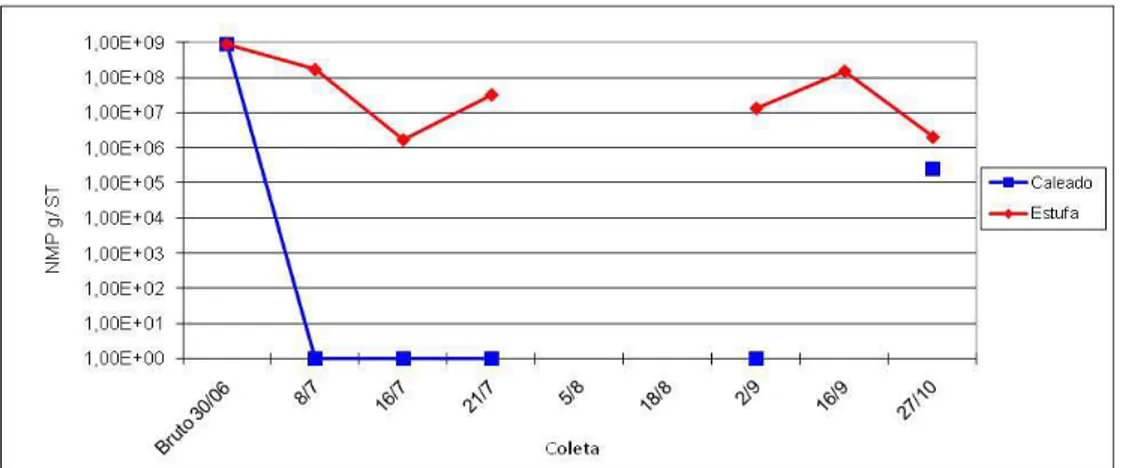 Figura 2.23 – Concentrações de coliformes totais no lodo ao longo dos  processos de caleação e secagem em estufa, Lote 3