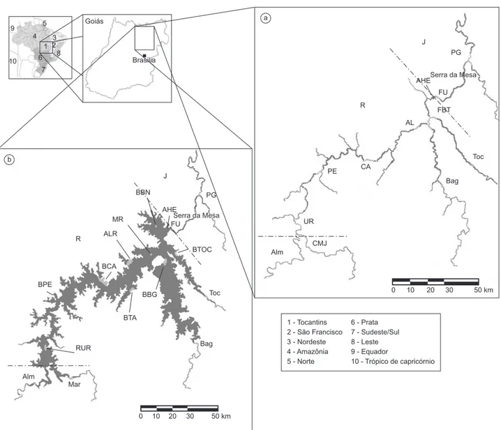 Figura 1. Localização geográfica da região de estudo e pontos de coleta no Rio Tocantins na fase anterior ao represamento - fase rio (a), e nas fases posteriores 