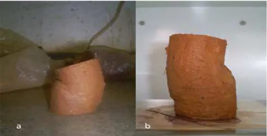 Figura 39. Corpos de prova rompidos: a) teor de umidade natural e b) saturado  Fonte: Arquivo do autor