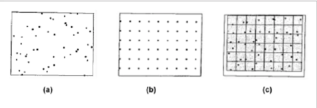 Figura 1 - Tipos de amostragem espacial. Na área (a) tem-se uma amostragem aleatória, em  (b) uma amostragem sistemática e em (c) a junção da amostragem sistemática e aleatória