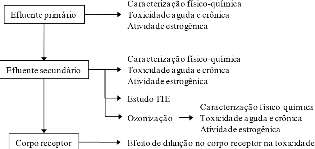 Figura 3 - Resumo do plano experimental. 