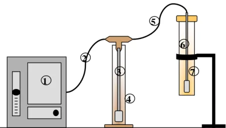 Figura 2: Modelo esquemático do tratamento químico com ozônio nos efluentes.   (1) gerador de O 3 , (2) mangueira, (3) saída de O 3 , (4) reator de vidro para  ozonização, (5) mangueira, (6) saída de O 3  residual, (7) reator para KI  (MOKFIENSKI, 2004)