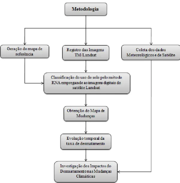 Figura 5- Diagrama contendo as etapas realizadas no estudo. 