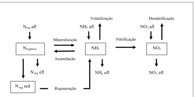 Figura 3.8 – Mecanismos de transformação e de remoção do nitrogênio em sistemas de lagoas.