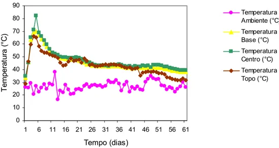 Figura 4.1. Variação da temperatura em função do tempo de compostagem. (1º                      estágio)