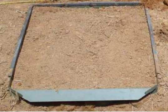 Figura 8. Vista da parcela experimental, delimitada por chapas metálicas  enterradas 0,15 m no solo