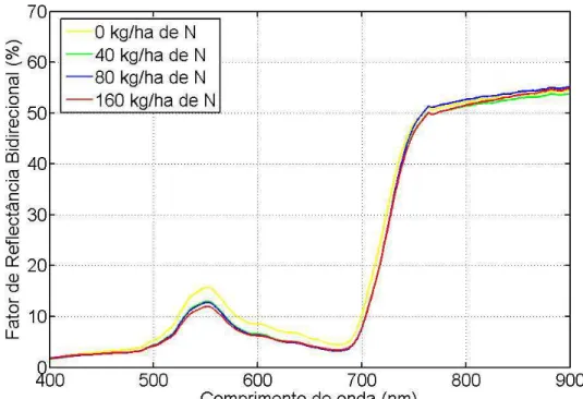 Figura 7 – Fator de reflectância bidirecional do capim-tanzânia em função do  comprimento de onda nas diferentes doses de N na data de  avaliação 08/01/2007