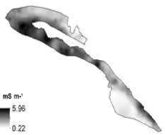 Figura  1.3.  Mapas  de  variabilidade  espacial  das variáveis  estudadas obtidos por  krigagem  ordinária  e  o  coeficiente  de  correlação  de  Pearson  (r)  entre  os  seus  valores  e  os  da  condutividade elétrica (CEa)