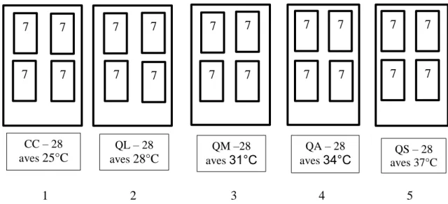 Figura  4.  Desenho  do  alojamento  dos  frangos  na  fase  experimental,  nas  cinco  câmaras  climáticas 1,2,3,4, e 5