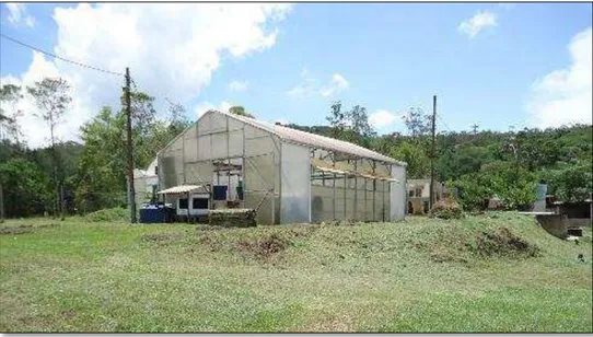 Figura 1: Vista da casa de vegetação onde foram implantados os SACs. 